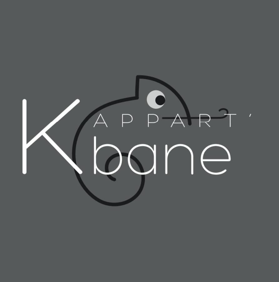 L'Appart K-Bane- Wifi Fibre- Checkin Auto- 2 Pers Le Mans Kültér fotó